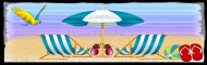 Beach Divider for summer