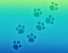 TEAL Background with paw print 