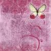 Burgandy Page Of Text With a Butterfly On It