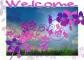 WELCOME, PINK, GREETINGS, TEXT, HIBISCUS