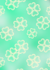 4 leaf clovers on mint green background