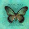 VINTAGE TEAL BACKGROUND WITH BUTTERFLY