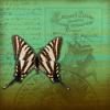 GREEN VINTAGE BACKGROUND WITH BUTTERFLY ON TEXT