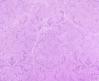 LAVENDER BACKGROUND WITH DESIGNS