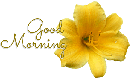 GOOD MORNING, LILY, YELLOW, TEXT