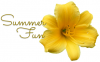 SUMMER FUN, YELLOW, LILY, TEXT