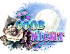 Good night - Moonlight