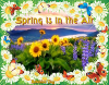 Spring is in the Air - by Robbie