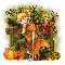 Autumn-Colors - Alice