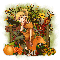 Autumn-Colors - Jane