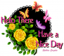 Hello have a nice Day