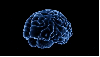 brain