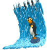 penguin with surf