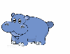 blue hippopotamus