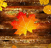 Autumn/Fall ~ Background