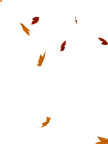 Анимация листья на прозрачном фоне. Падающие листья. Падающие листья на прозрачном фоне. Осенние листья гиф на прозрачном фоне. Осенние листья анимация на прозрачном фоне.