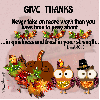Give Thanks - Owls - Leaves - Pumpkins 