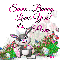 Pami - Some Bunny - Loves You.- Bunny