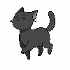 dark cat