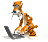 tiger with laptop