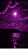 purple night