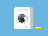 cat with washing machine