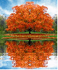 tree in autumn