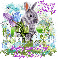 Hoppy Spring ~ Pami ~ Offer ~ fg