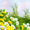 Spring ~ background