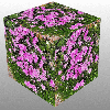 Purple Flower Cube