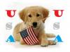 USA Dog Background