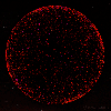red optical picture