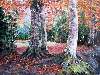 Autumn ~ background ~ fg