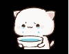 white cat cry