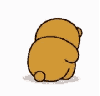 bear cry
