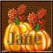 Pumpkin Avatar - Jane