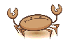 brown crab