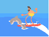 surf with dolphins