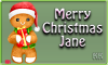Gingerbread w/santa hat Siggie - Jane #6