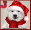 Christmas Polar Bear - J