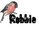 Bird - Robbie