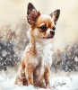 Chihuahua Watercolor Background