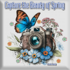 Capture the Beauty of Spring