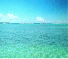The Ocean Background
