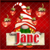 Strawberry Gnome Avatar - Jane