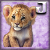 Lion Cub - J