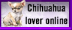 Chihuahua Lover online
