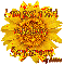 I Love Sunflowers - by Robbie