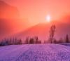 Winter/Snow/Sunrise/Background