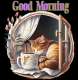 Sleeping Kitty - Good Morning